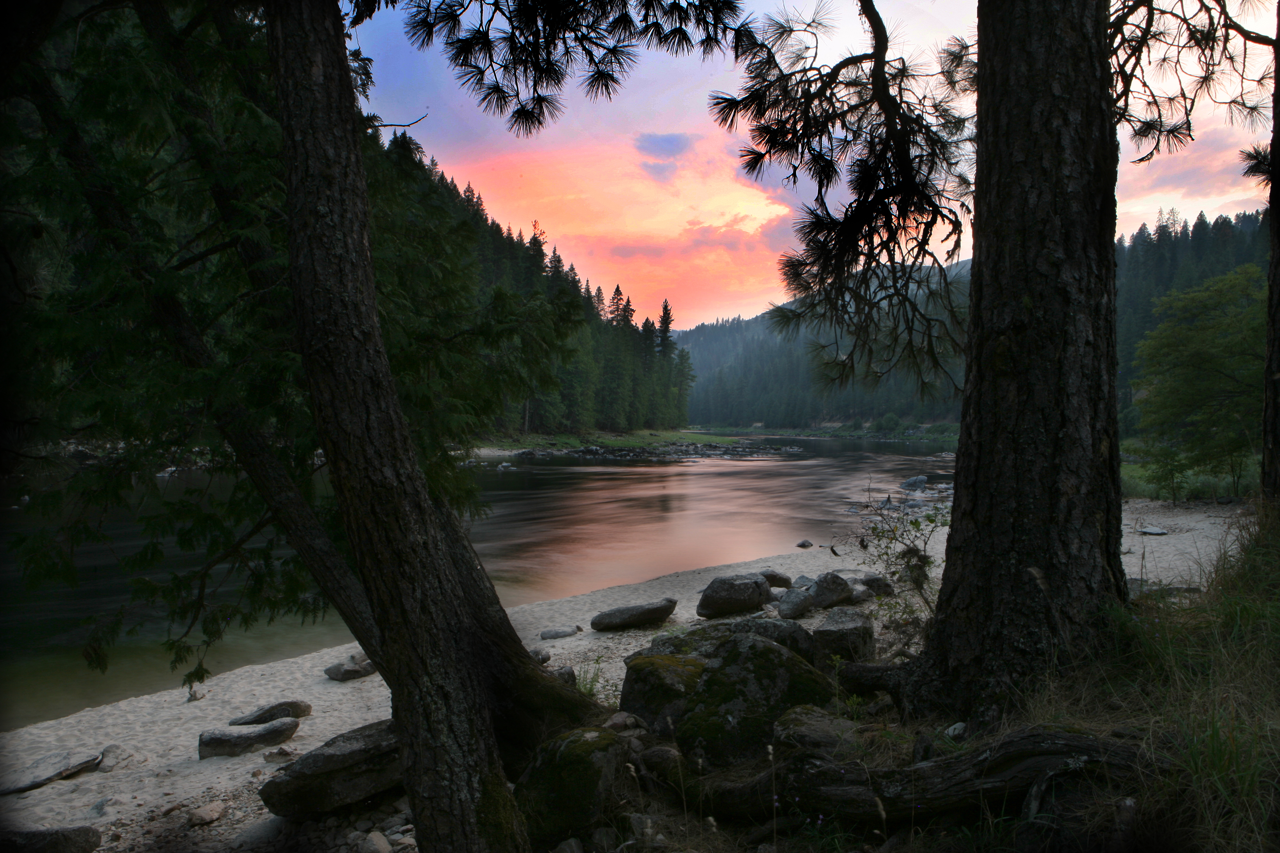 gorgeous-forest-with-river.jpg